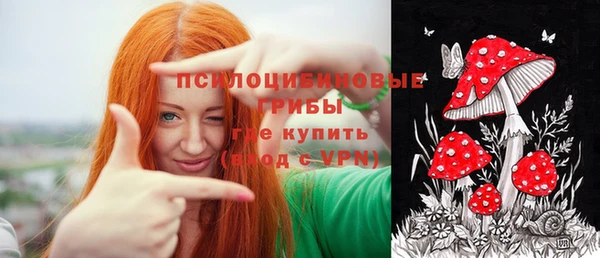 гашиш Касимов