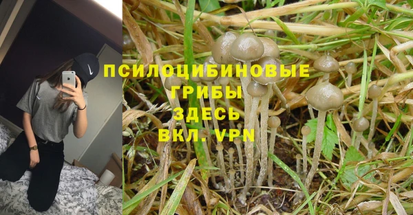 гашиш Касимов