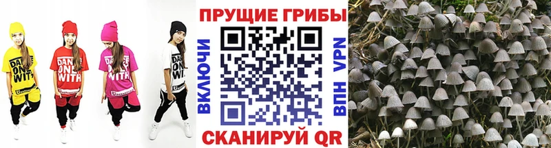 Псилоцибиновые грибы Magic Shrooms  магазин продажи наркотиков  Красавино 